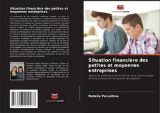 Bookcover of Situation financière des petites et moyennes entreprises
