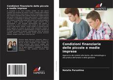 Buchcover von Condizioni finanziarie delle piccole e medie imprese