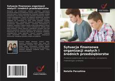 Portada del libro de Sytuacja finansowa organizacji małych i średnich przedsiębiorstw