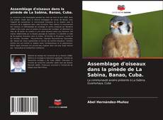 Assemblage d'oiseaux dans la pinède de La Sabina, Banao, Cuba. kitap kapağı