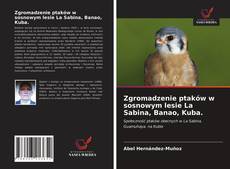 Capa do livro de Zgromadzenie ptaków w sosnowym lesie La Sabina, Banao, Kuba. 