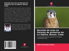 Bookcover of Reunião de aves na floresta de pinheiros de La Sabina, Banao, Cuba.