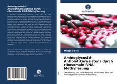Aminoglycosid-Antibiotikaresistenz durch ribosomale RNA-Methylierung kitap kapağı