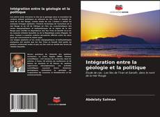 Buchcover von Intégration entre la géologie et la politique