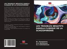 Copertina di LES TROUBLES NÉGATIFS DANSLA CLINIQUE DE LA SCHIZOPHRÉNIE