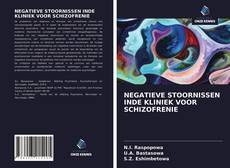 Обложка NEGATIEVE STOORNISSEN INDE KLINIEK VOOR SCHIZOFRENIE