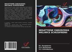 Copertina di NEGATYWNE ZABURZENIA WKLINICE SCHIZOFRENII