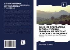 ВЛИЯНИЕ ПРОГРАММЫ ЭКОНОМИЧЕСКОЙ РЕФОРМЫ НА МЕСТНЫЕ СЕЛЬСКИЕ УЧРЕЖДЕНИЯ的封面