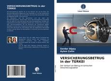 Bookcover of VERSICHERUNGSBETRUG in der TÜRKEI