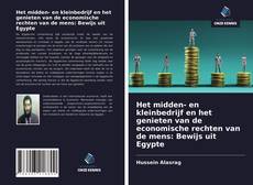 Couverture de Het midden- en kleinbedrijf en het genieten van de economische rechten van de mens: Bewijs uit Egypte