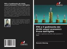 PMI e il godimento dei diritti umani economici: Prove dall'Egitto的封面