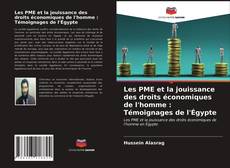 Couverture de Les PME et la jouissance des droits économiques de l'homme : Témoignages de l'Égypte