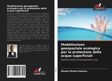 Bookcover of Modellazione geospaziale ecologica per la protezione delle acque superficiali