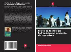 Buchcover von Efeito da tecnologia hidropónica na produção de espinafres