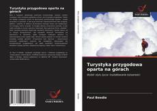 Bookcover of Turystyka przygodowa oparta na górach