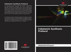 Capa do livro de Cobalamin Synthesis Protocol 