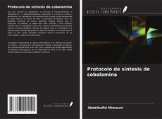 Copertina di Protocolo de síntesis de cobalamina