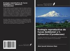 Bookcover of Ecología reproductiva de Cycas beddomei y C. sphaerica (Cycadaceae)