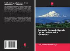 Обложка Ecologia Reprodutiva de Cycas beddomei e C. sphaerica