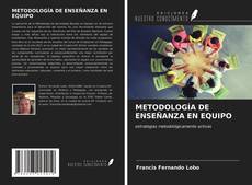 METODOLOGÍA DE ENSEÑANZA EN EQUIPO kitap kapağı