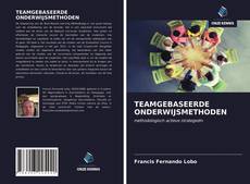 Buchcover von TEAMGEBASEERDE ONDERWIJSMETHODEN