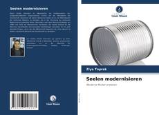 Seelen modernisieren的封面