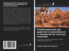 Bookcover of Problematización del papel de la comunidad en el manejo de los recursos naturales