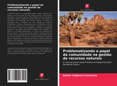 Portada del libro de Problematizando o papel da comunidade na gestão de recursos naturais