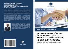 Bookcover of BEDINGUNGEN FÜR DIE BEENDIGUNG DES ARBEITSVERHÄLTNISSES IN DER D.D.R. KONGO