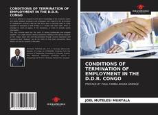 CONDITIONS OF TERMINATION OF EMPLOYMENT IN THE D.D.R. CONGO kitap kapağı