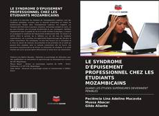 LE SYNDROME D'ÉPUISEMENT PROFESSIONNEL CHEZ LES ÉTUDIANTS MOZAMBICAINS的封面