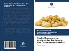 Capa do livro de Sozio-ökonomische Analyse der Förderung des Cashewnuss-Sektors 