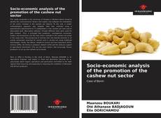 Socio-economic analysis of the promotion of the cashew nut sector kitap kapağı