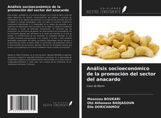 Capa do livro de Análisis socioeconómico de la promoción del sector del anacardo 