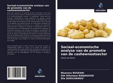Capa do livro de Sociaal-economische analyse van de promotie van de cashewnootsector 