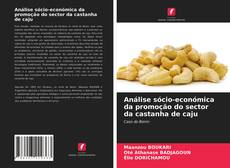 Bookcover of Análise sócio-económica da promoção do sector da castanha de caju