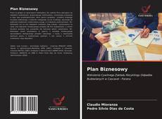 Plan Biznesowy的封面