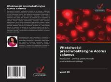 Bookcover of Właściwości przeciwbakteryjne Acorus calamus