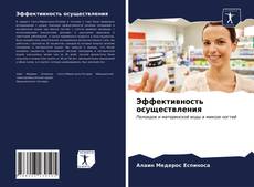 Portada del libro de Эффективность осуществления