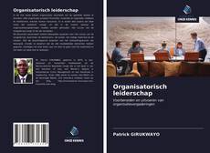 Organisatorisch leiderschap kitap kapağı