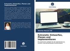 Extranets: Entwerfen, Planen und Implementieren的封面