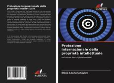 Protezione internazionale della proprietà intellettuale kitap kapağı