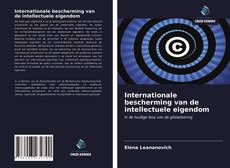 Bookcover of Internationale bescherming van de intellectuele eigendom