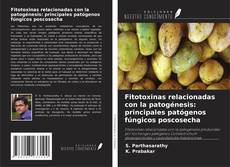 Capa do livro de Fitotoxinas relacionadas con la patogénesis: principales patógenos fúngicos poscosecha 