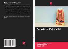 Bookcover of Terapia de Polpa Vital