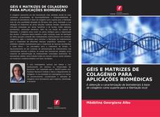 Copertina di GÉIS E MATRIZES DE COLAGÉNIO PARA APLICAÇÕES BIOMÉDICAS