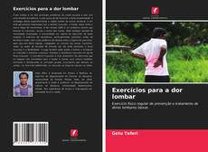 Portada del libro de Exercícios para a dor lombar