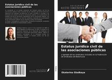 Bookcover of Estatus jurídico civil de las asociaciones públicas