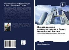 Copertina di Инновационная инфраструктура в Санкт-Петербурге, Россия