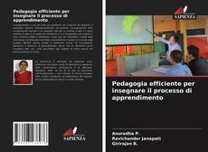 Pedagogia efficiente per insegnare il processo di apprendimento的封面